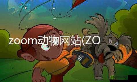 美国 ZOOM 动物的奇妙之旅