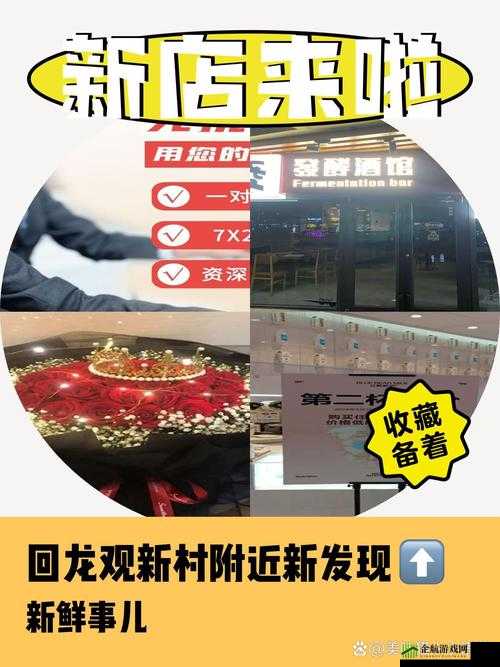 小黄鱼 b 站：宝藏视频平台等你来发现